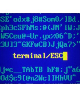 Terminal ESC Steam Key GLOBAL